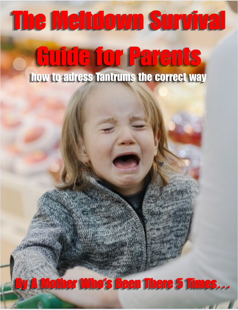 Melt down survival guide for parents